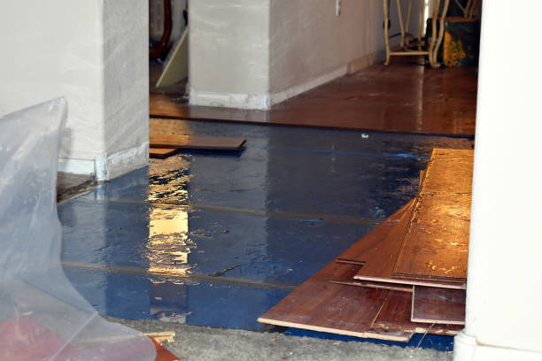 Professional Sewage Cleanup technician working in Chelsea, MA